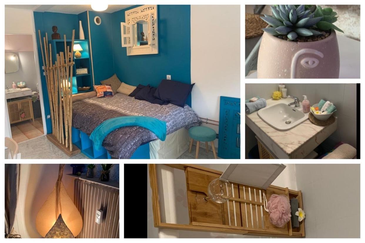 Luxurious Studio In Cannes 450M From Sea With Terrace And Air Conditioning And Private Parking Экстерьер фото