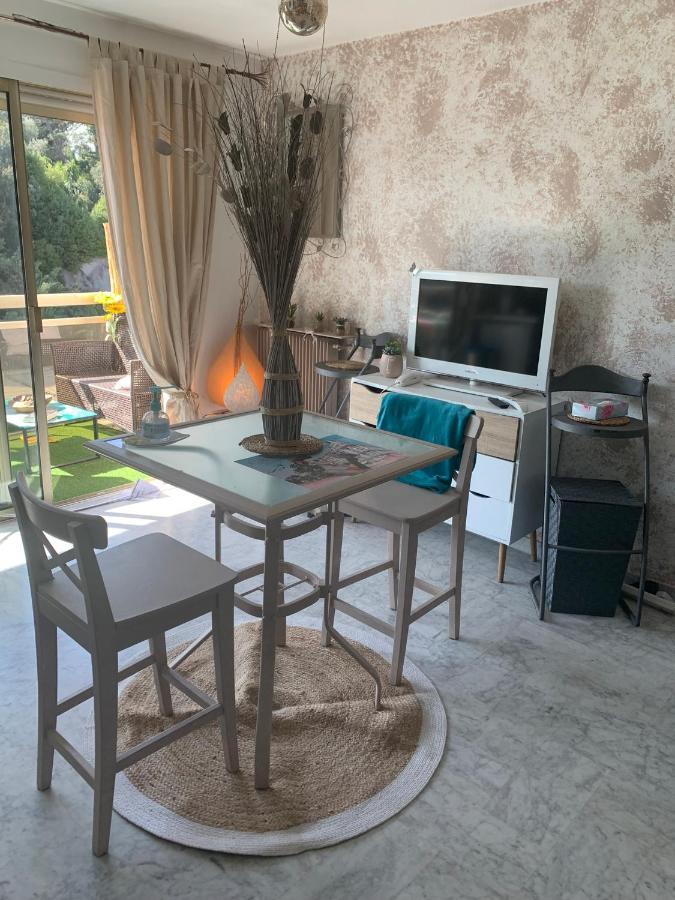 Luxurious Studio In Cannes 450M From Sea With Terrace And Air Conditioning And Private Parking Экстерьер фото