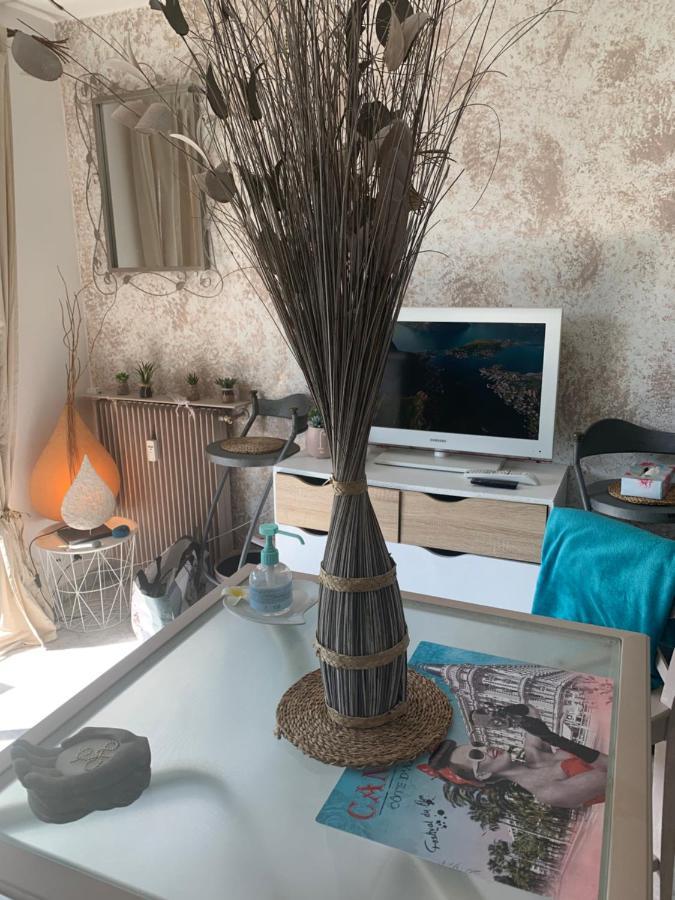 Luxurious Studio In Cannes 450M From Sea With Terrace And Air Conditioning And Private Parking Экстерьер фото