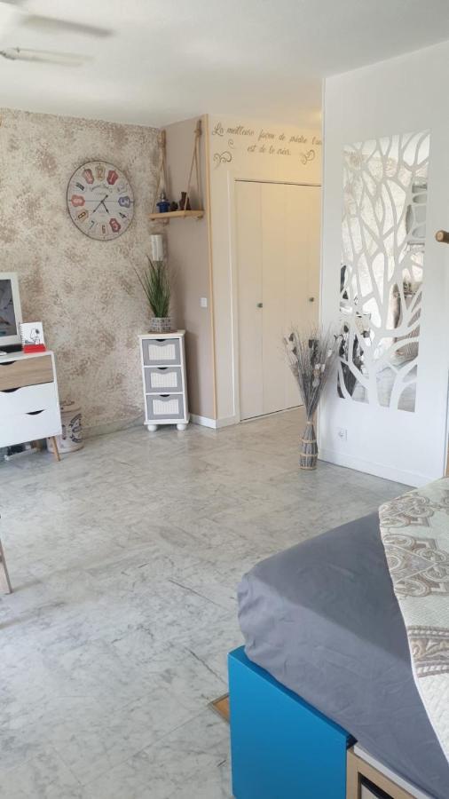Luxurious Studio In Cannes 450M From Sea With Terrace And Air Conditioning And Private Parking Экстерьер фото